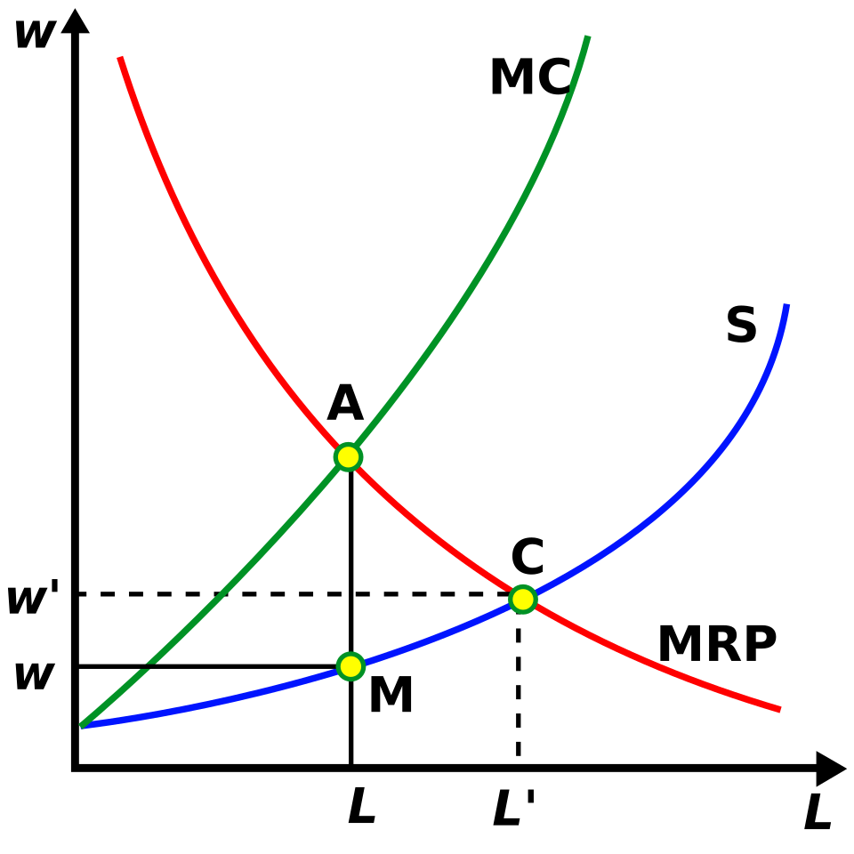 Figure 3. Under monopsony, wages are set below the marginal revenue product of labour.