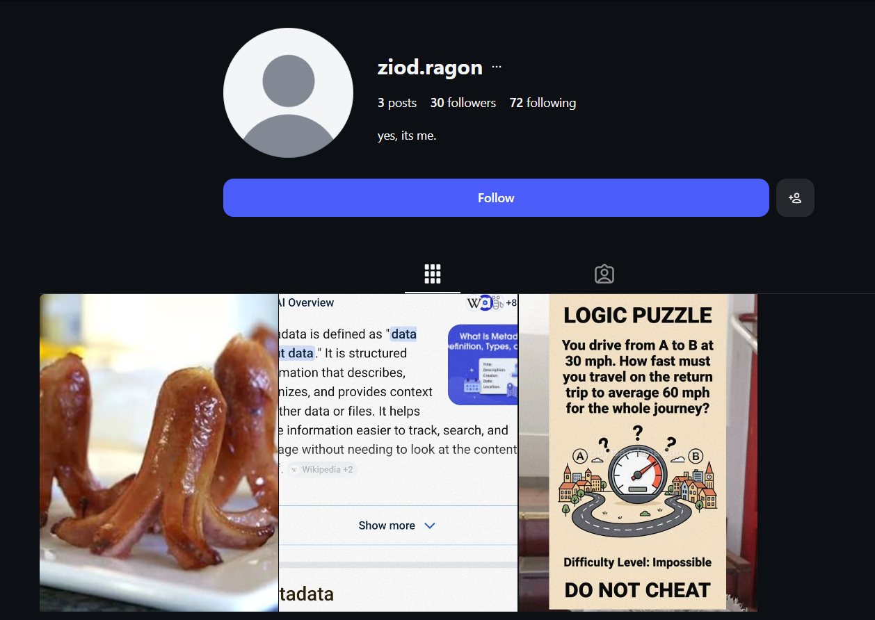 Instagram Page